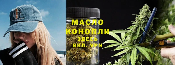 индика Ступино