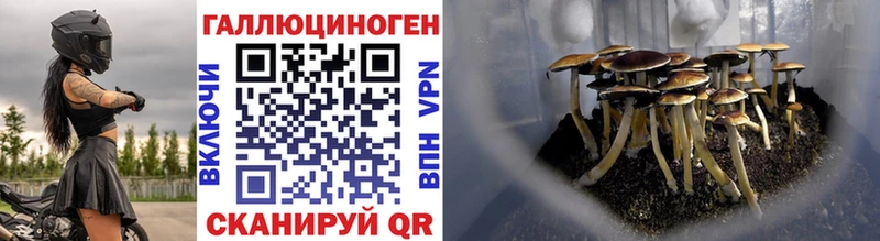 Псилоцибиновые грибы GOLDEN TEACHER  Красный Кут 